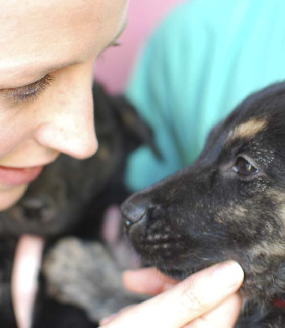DogSmart at Helen Woodward Animal Center