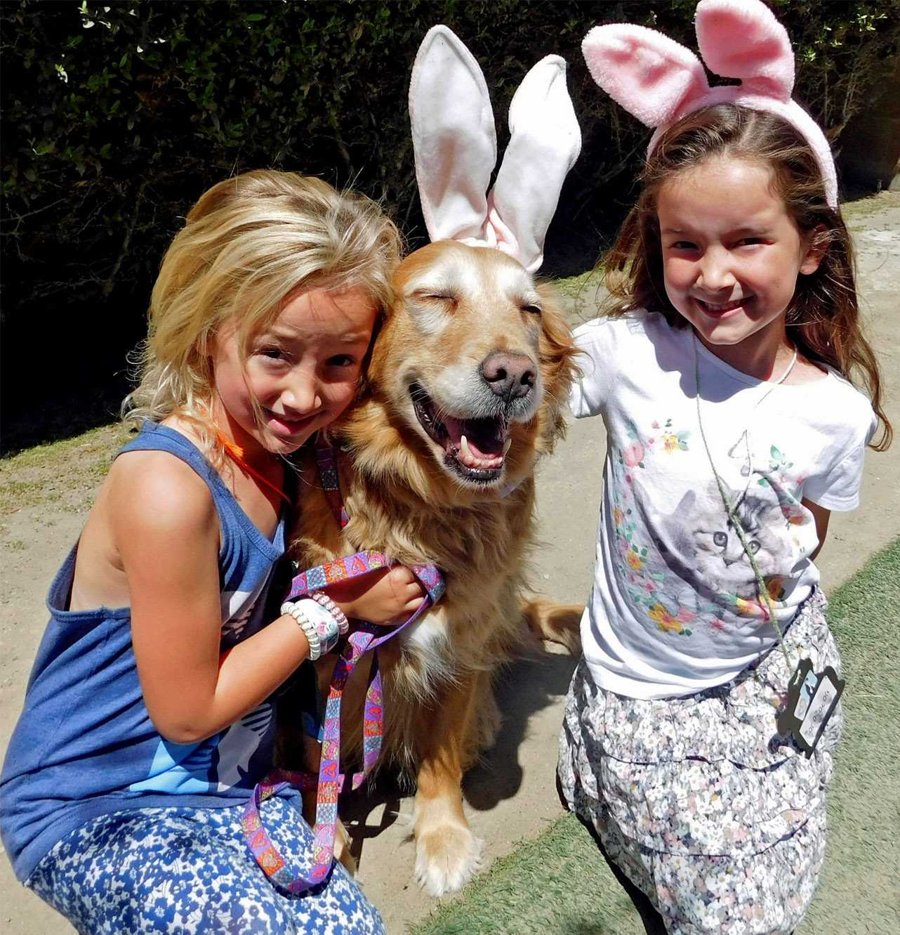 Spring Critter Camp