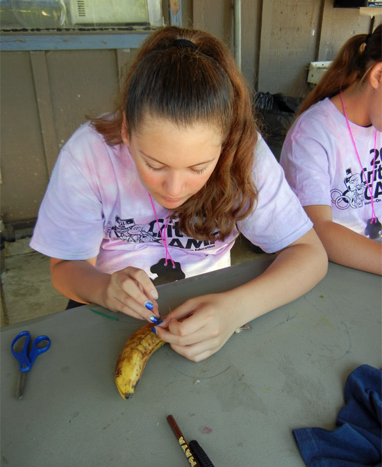 Summer Critter Camp