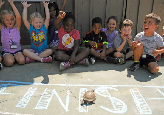 Summer Critter Camp
