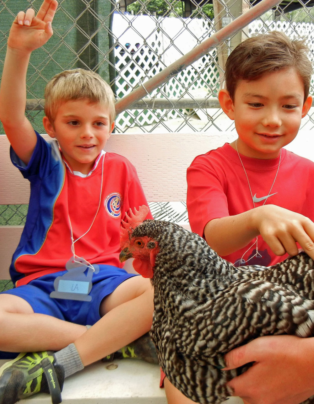 Summer Critter Camp