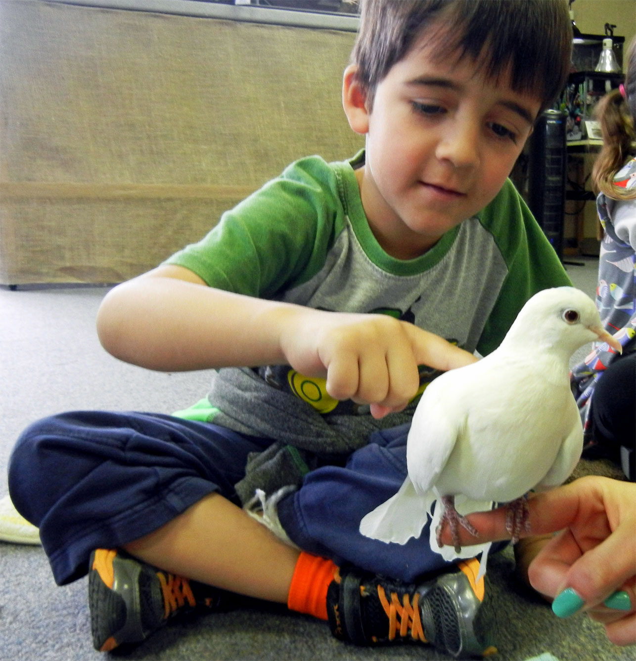 Spring Critter Camp