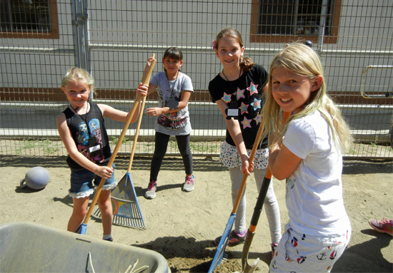 Summer Critter Camp