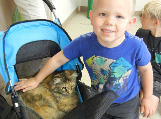 Summer Critter Camp