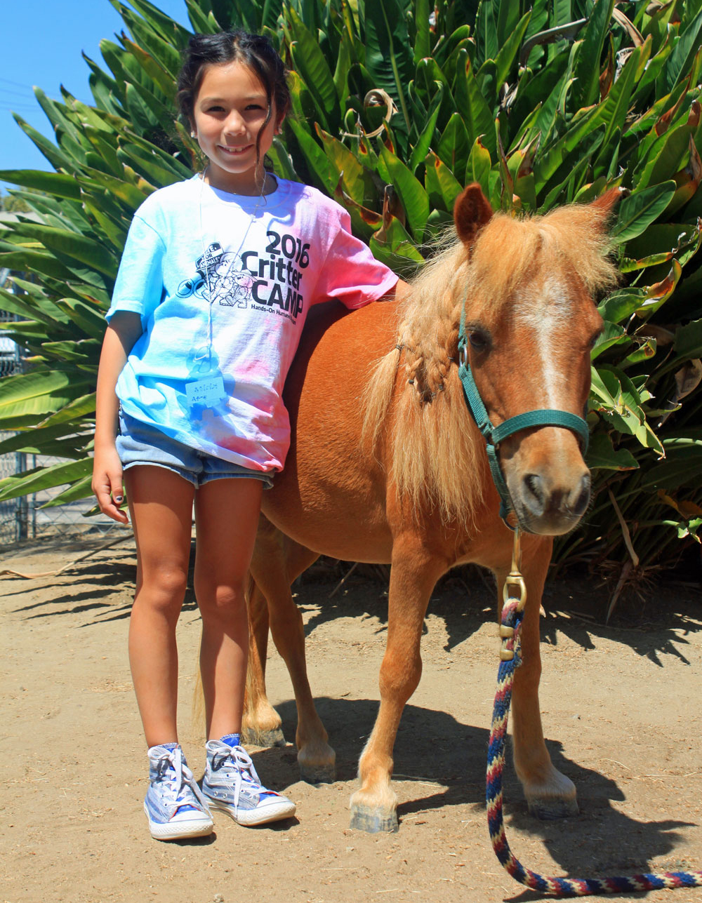 Summer Critter Camp