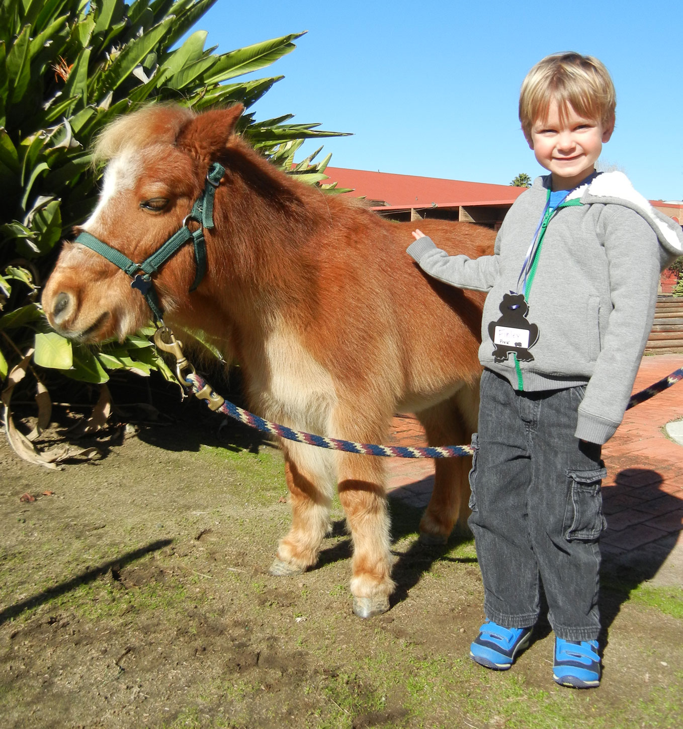February Critter Camp