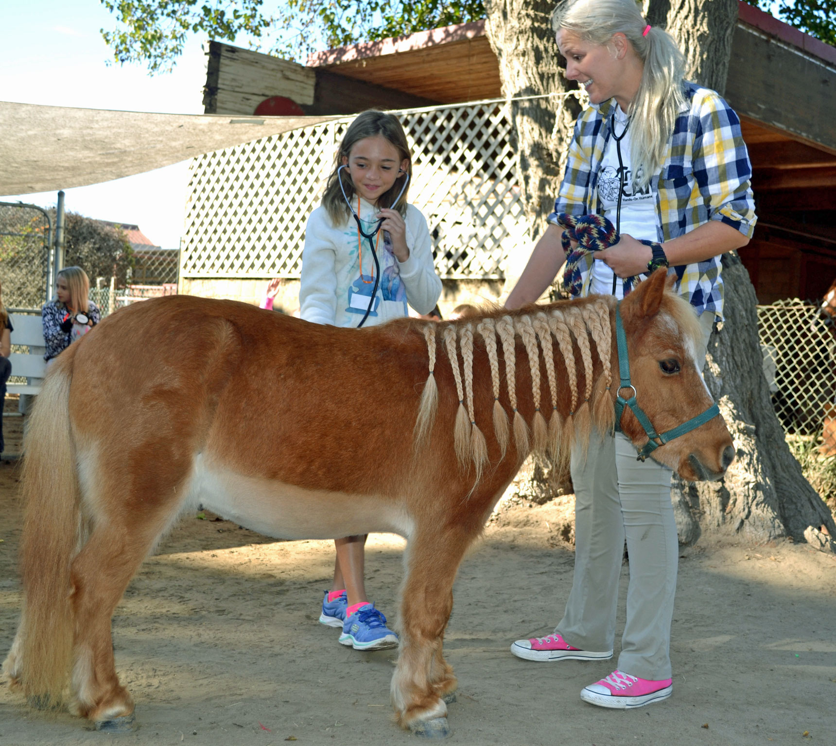 You Can Be a Veterinarian Camp