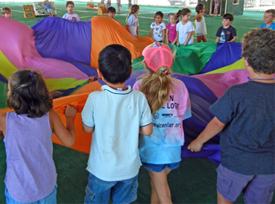 Summer Critter Camp