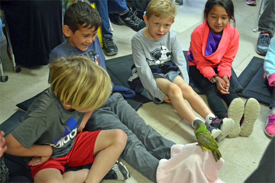 Field Trips for Students
