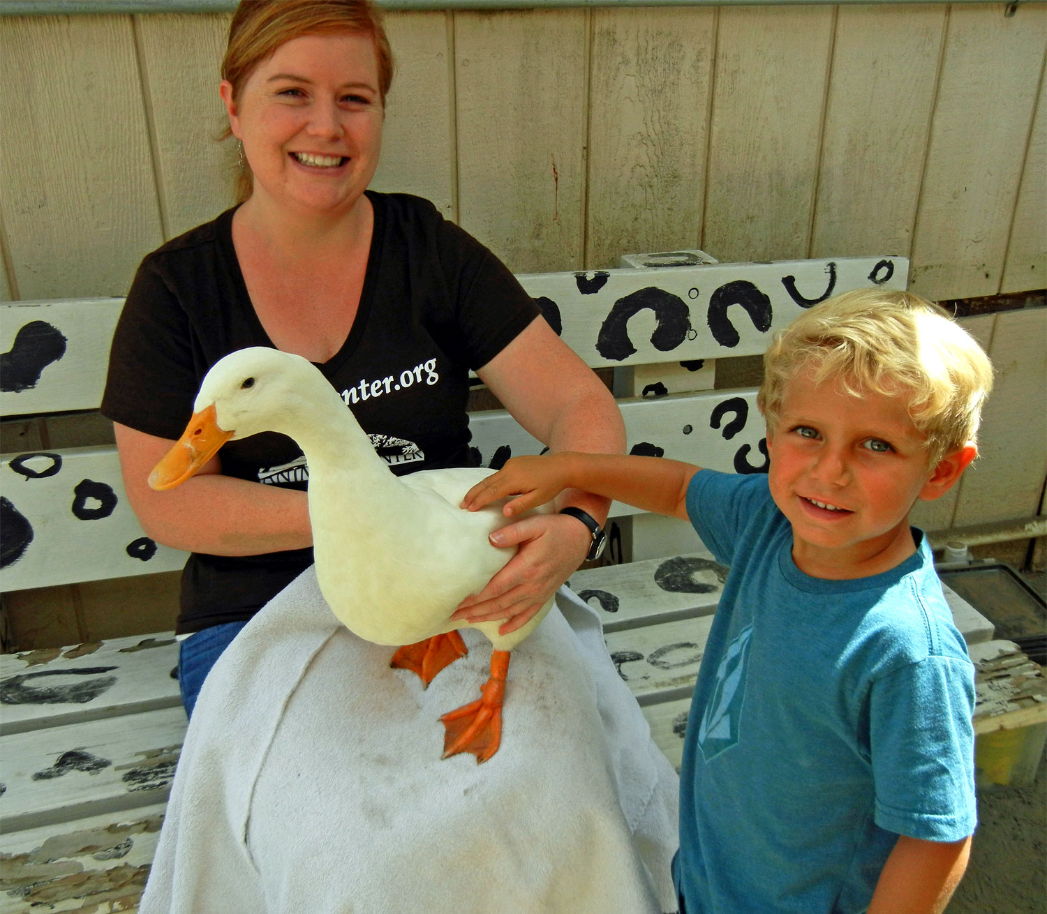 MLK Day Critter Camp