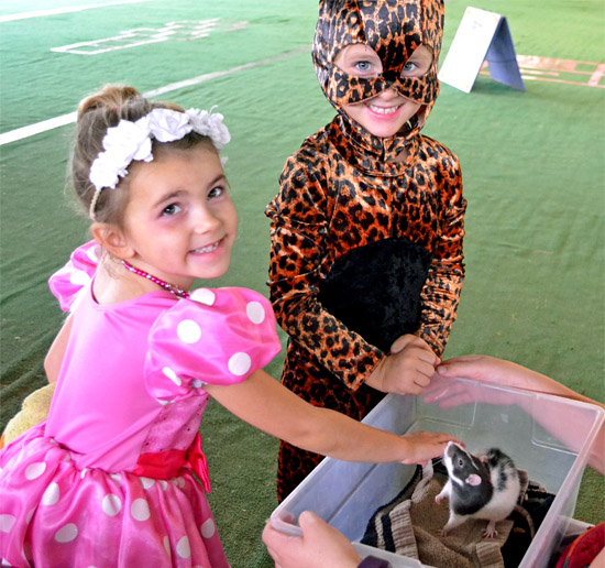 Howl-O-Ween Harvest