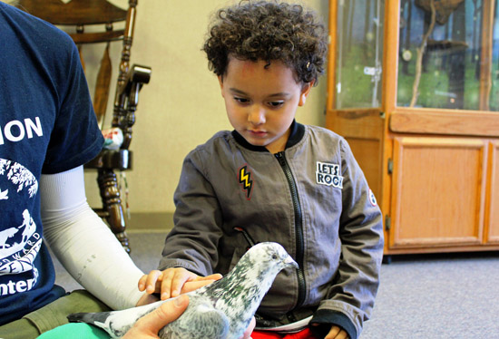 MLK Day Critter Camp