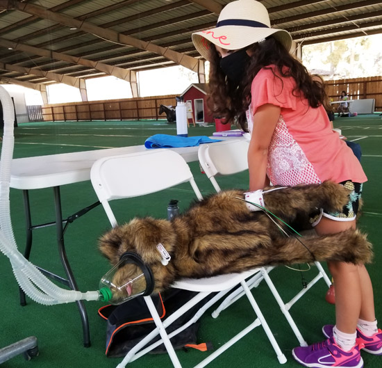 You Can Be a Veterinarian Camp