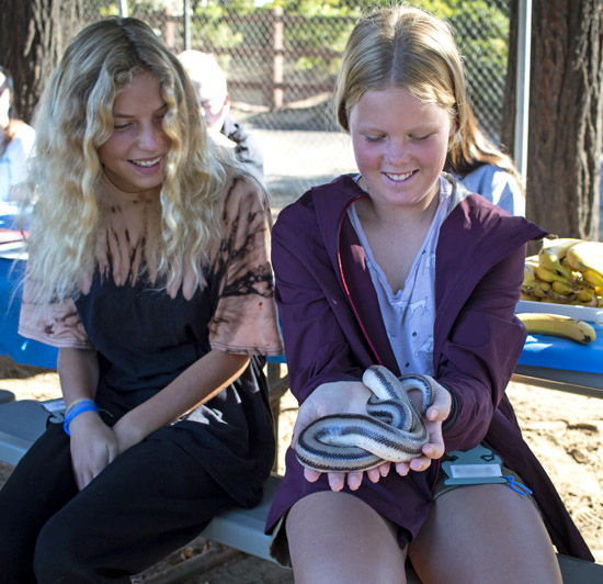You Can Be a Veterinarian Camp