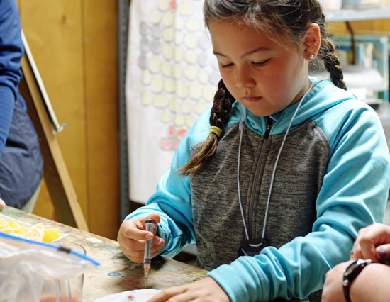 You Can Be a Veterinarian Camp