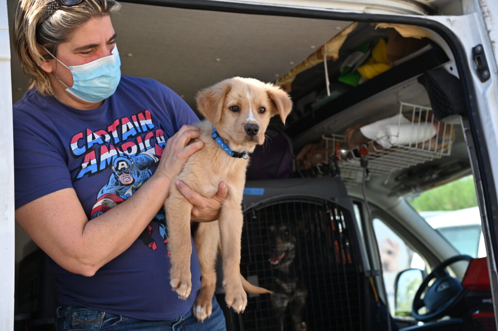 Rescued Texas pup