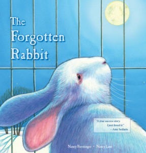 Picture Book Seven Rescue Rabbit Pet Adoption and Animal Rescue Books for Kids