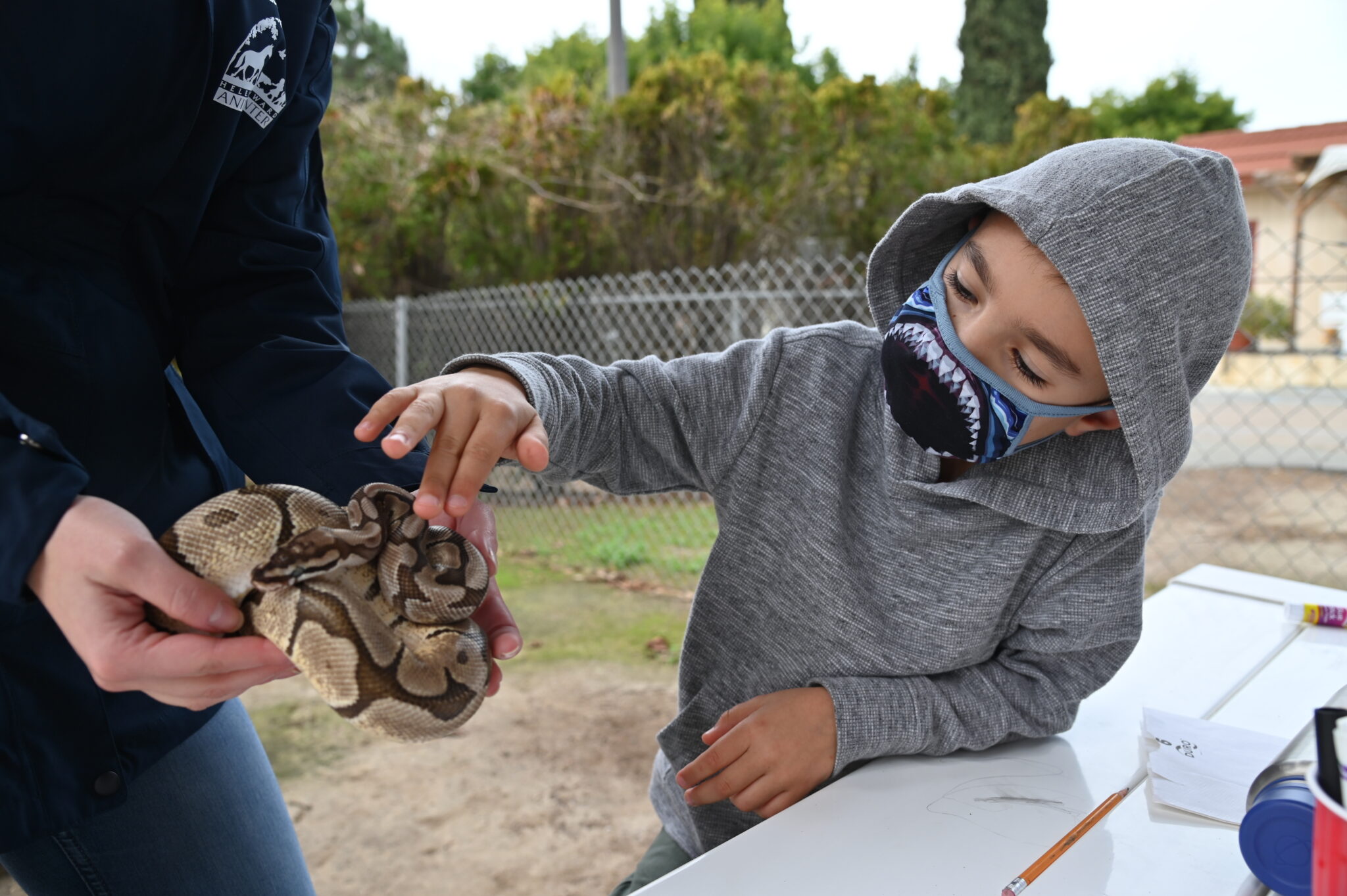 Thanksgiving Break Critter Camp in San Diego | HWAC