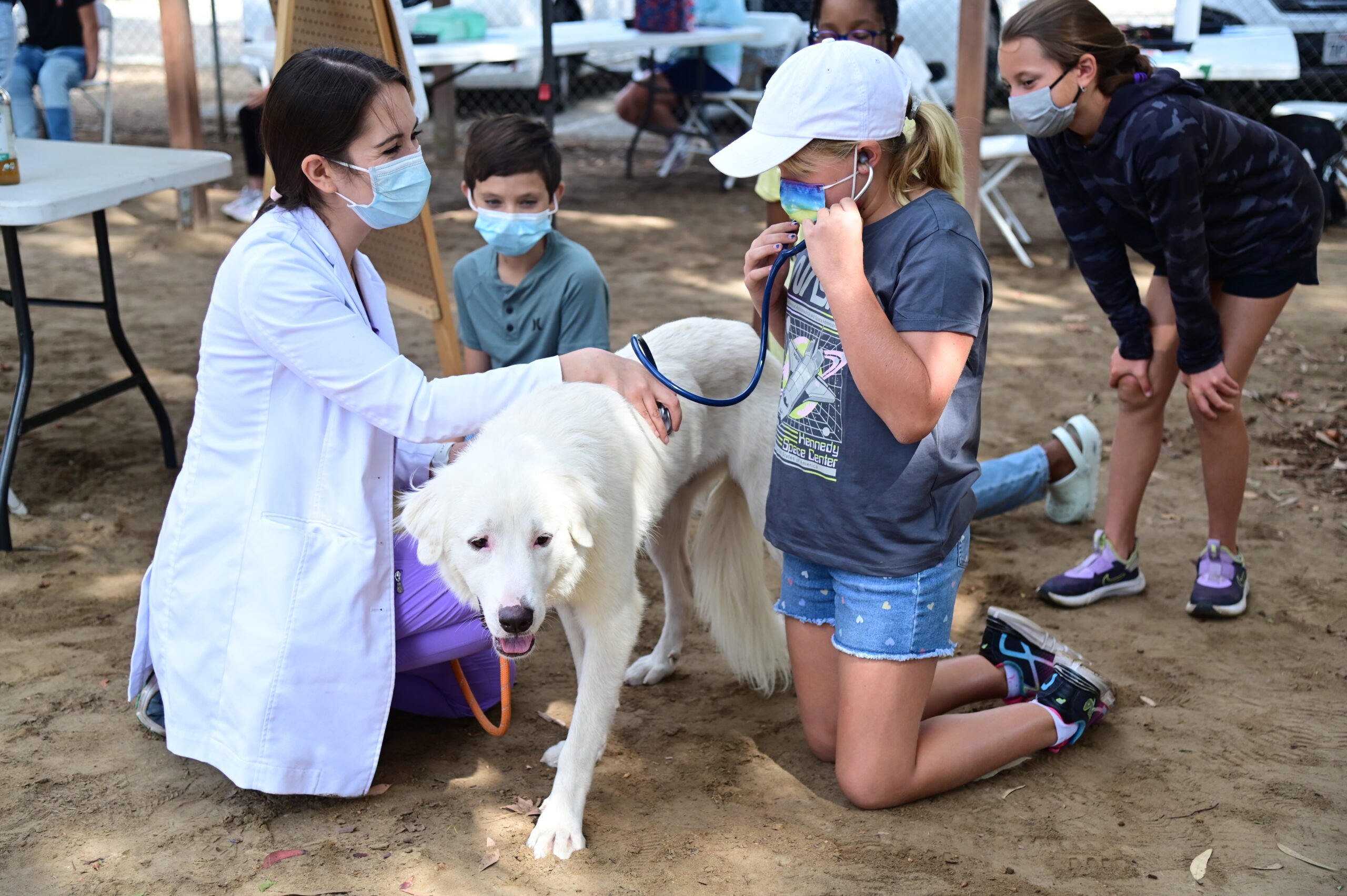 Vet Camp for Kids