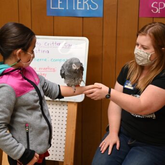 Animal Field Trips and Outreaches for Kids