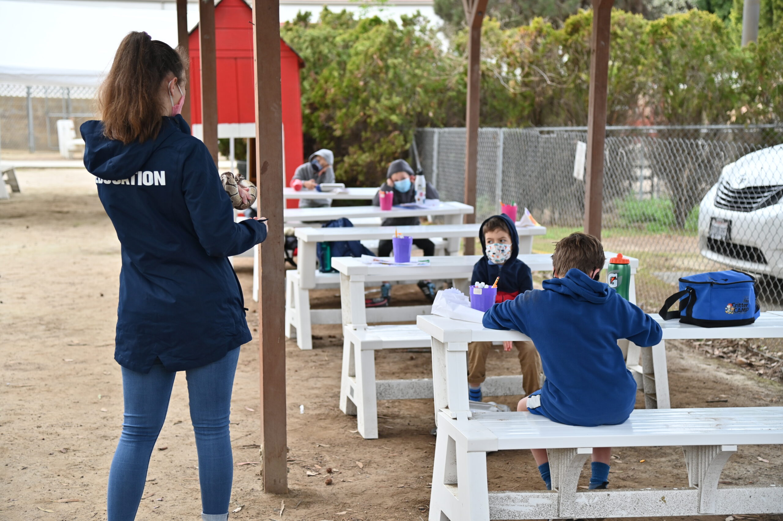 Animal Field Trips and Outreaches for Kids