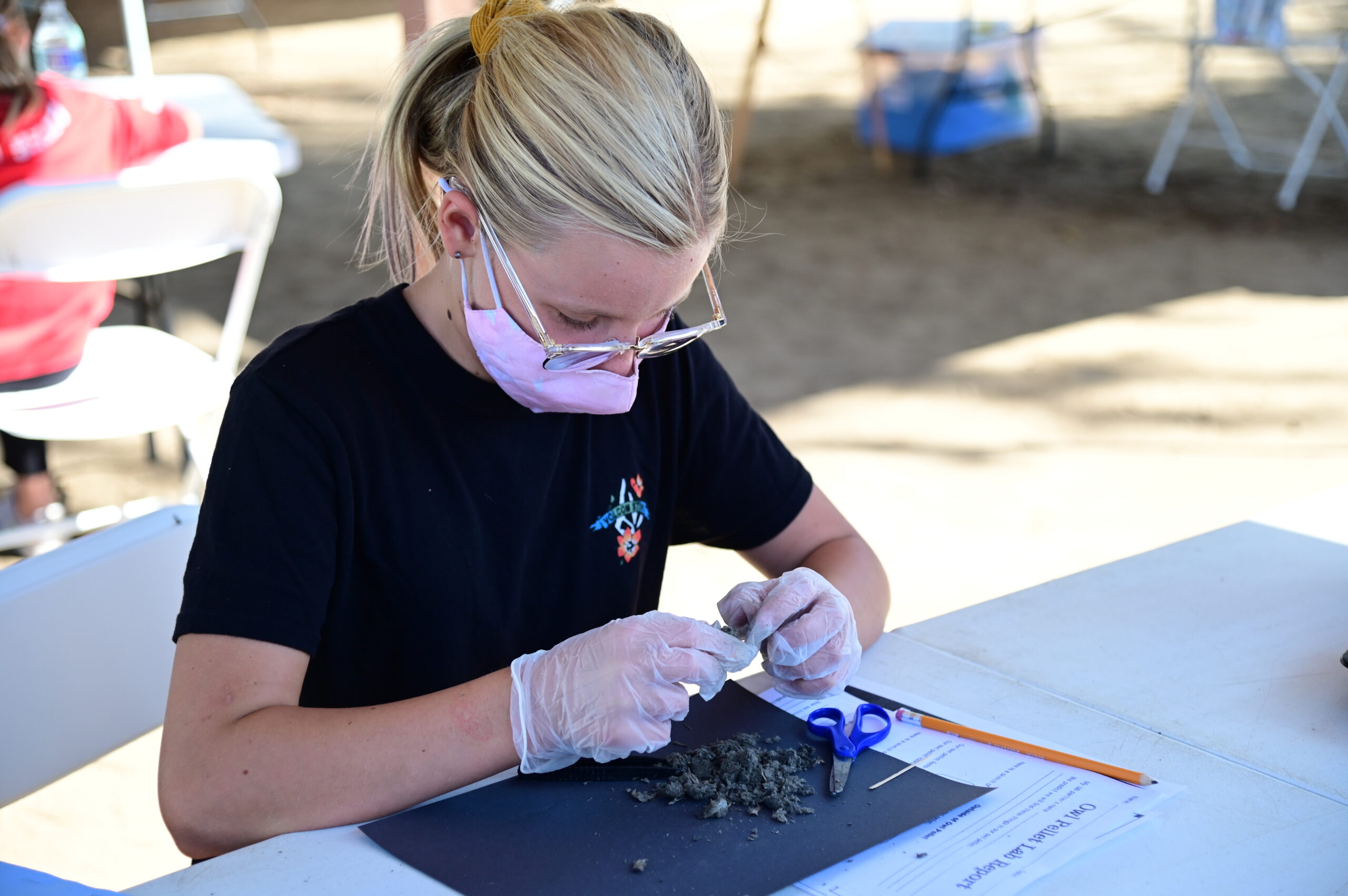 Vet Camp for Kids