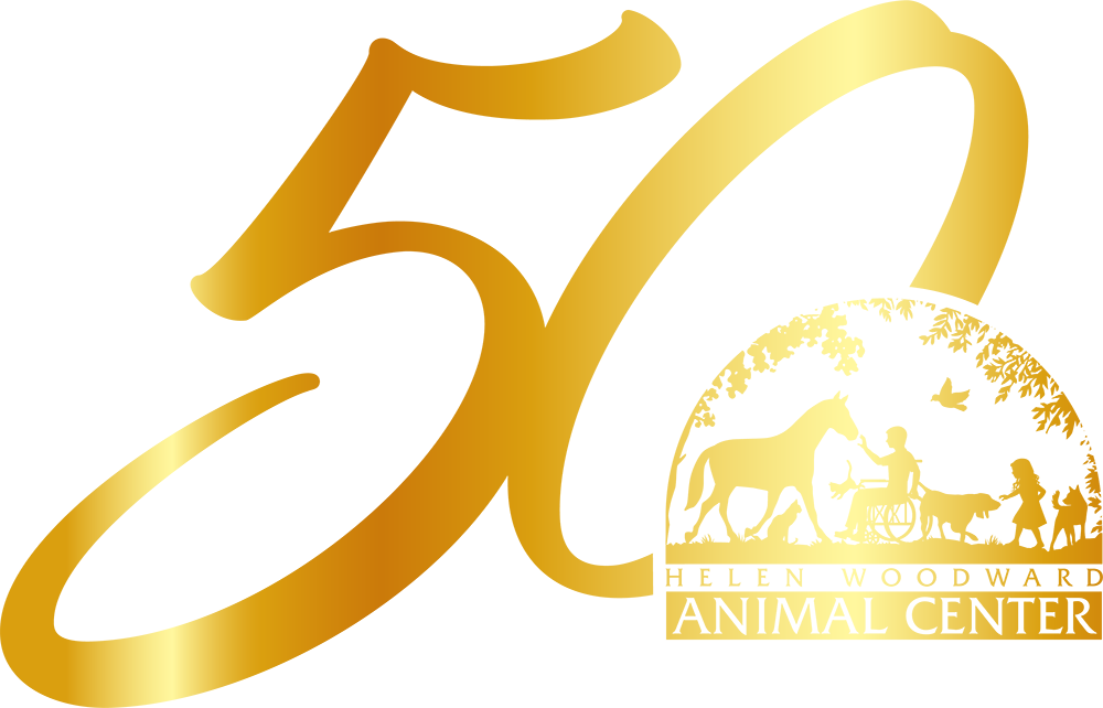 50th Anniversary Volunteer