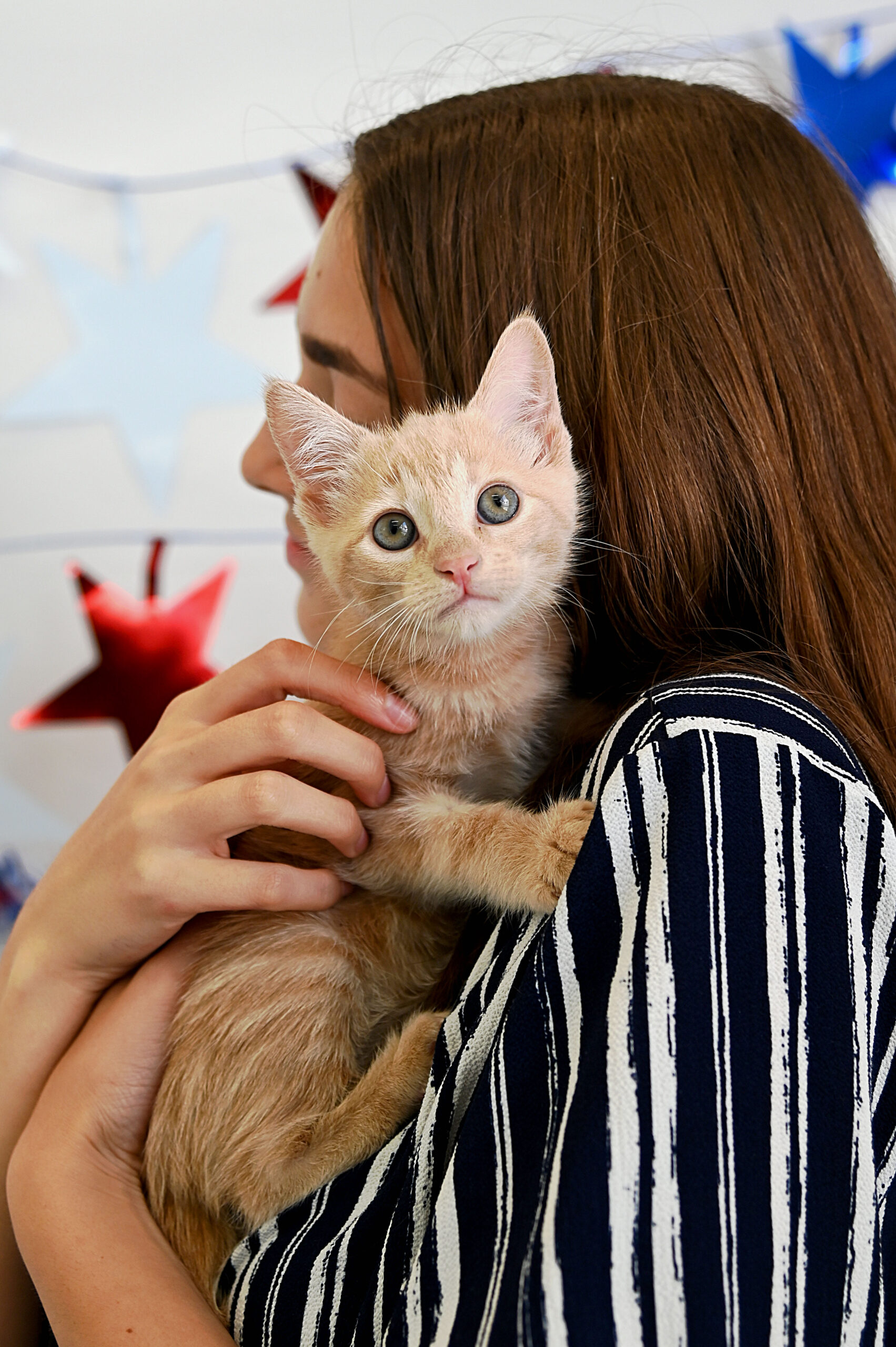 Kitten Adoption San Diego Adopt a Kitten Helen Woodward Animal Center