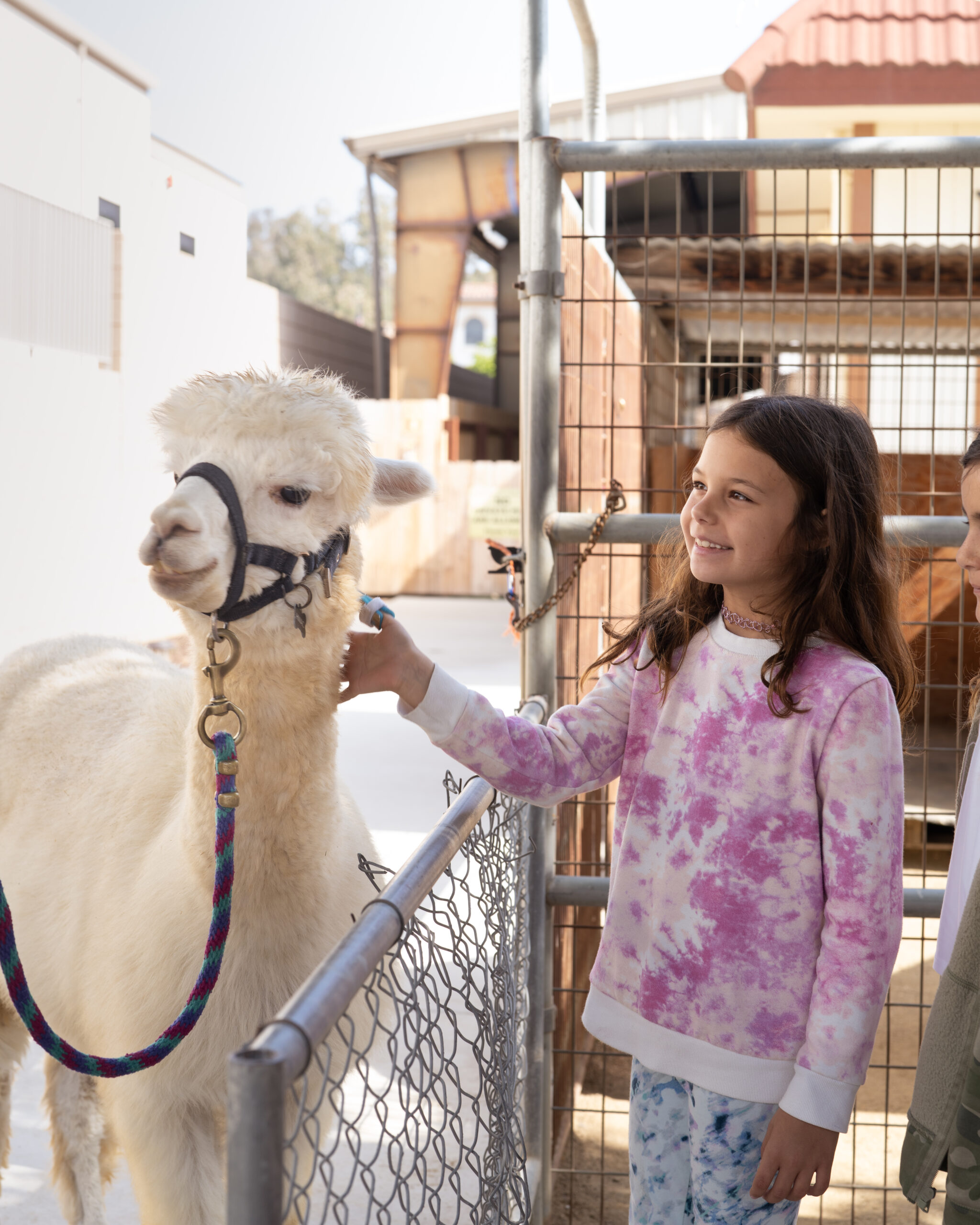 Winter Break Critter Camp