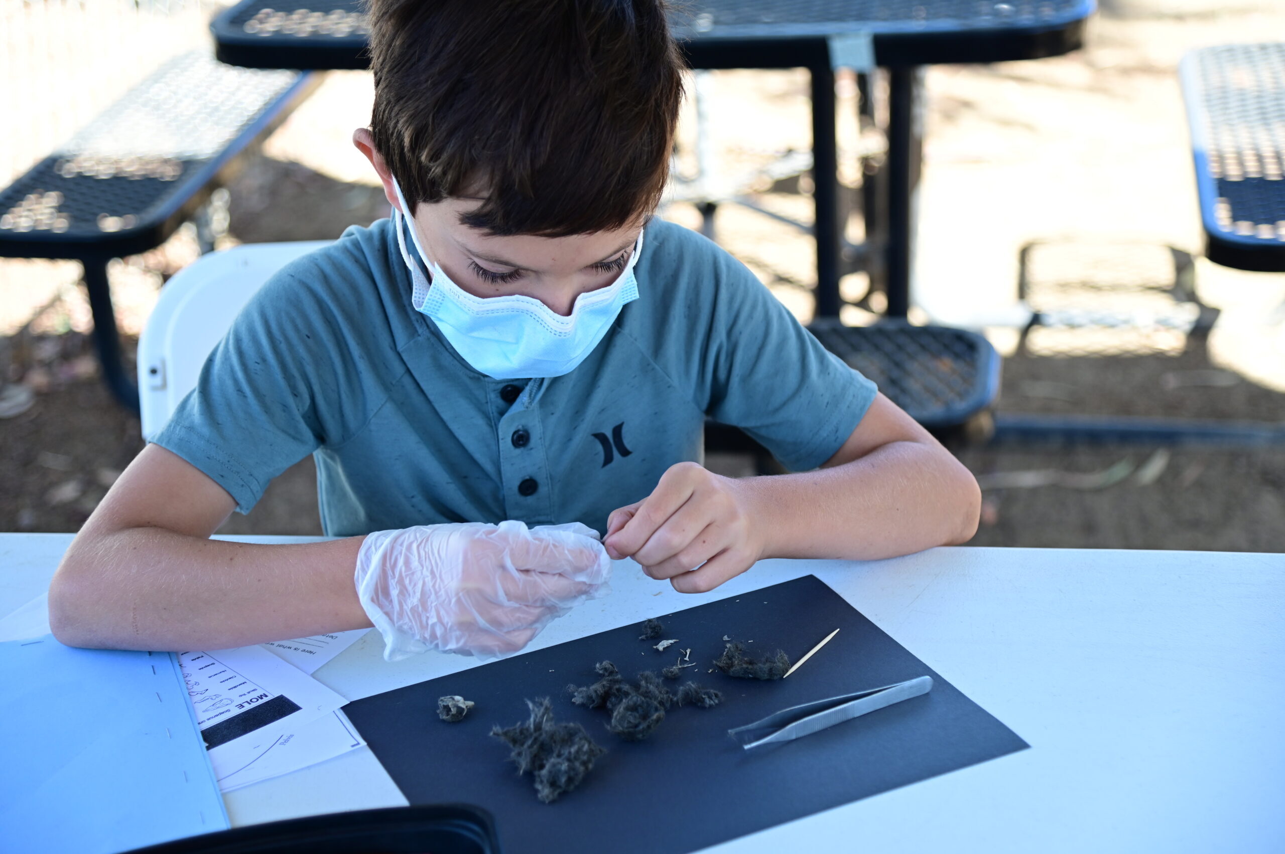 Vet Camp for Kids