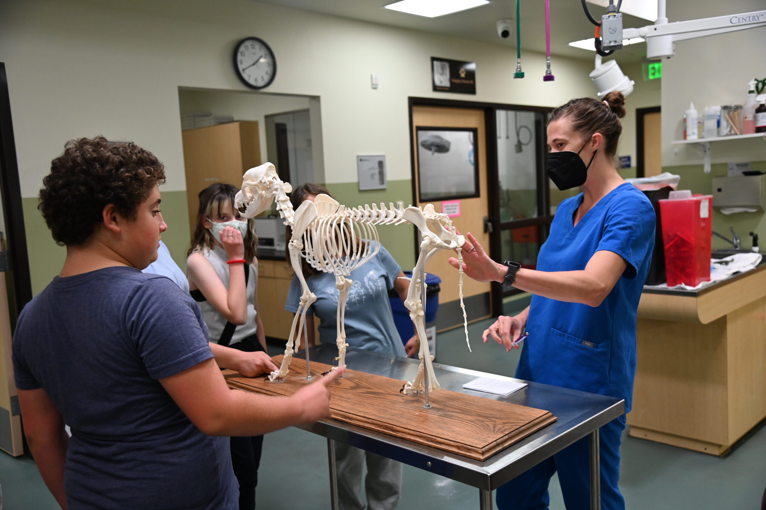 Vet Camp for Kids