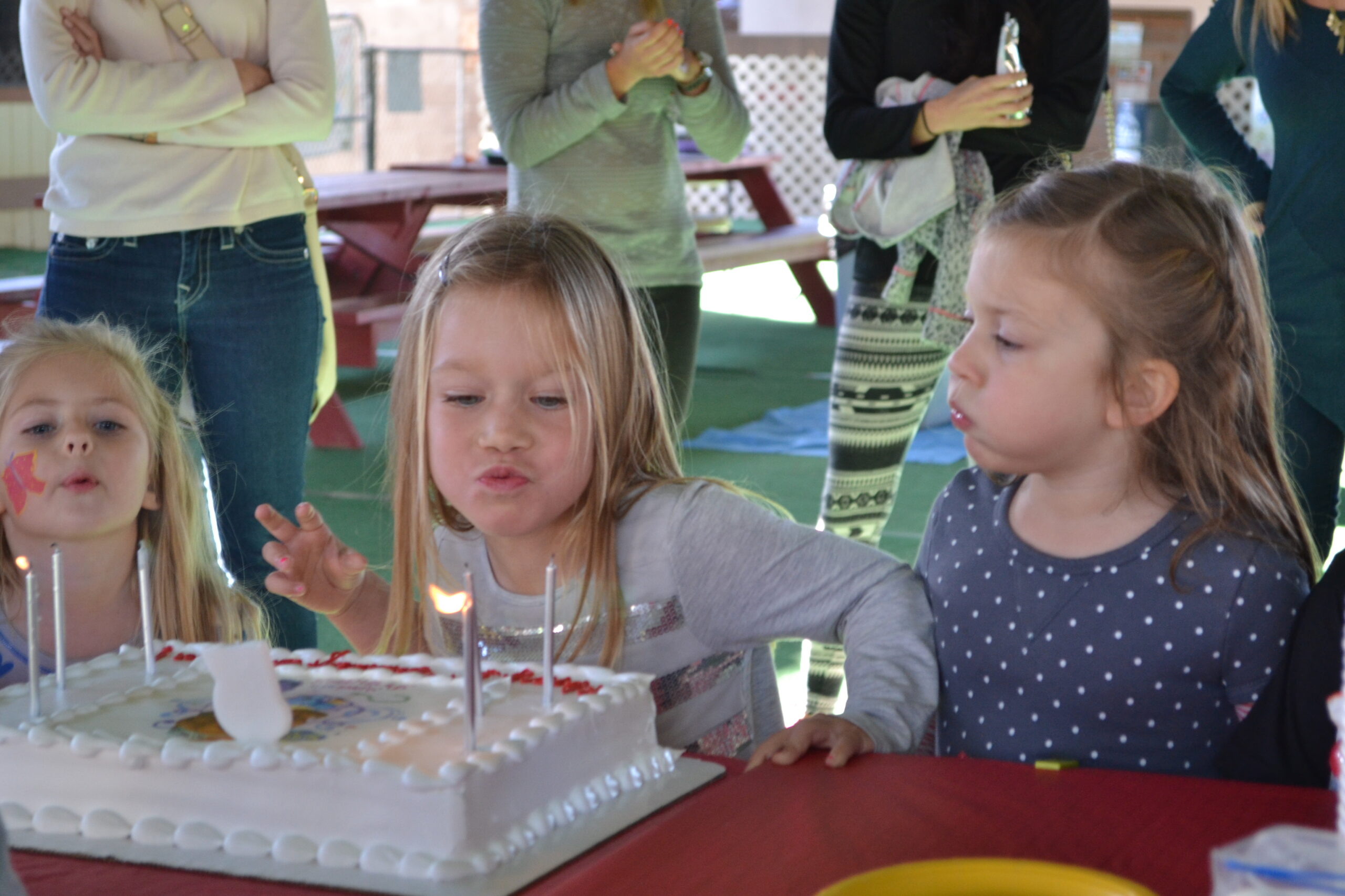 Animal Birthday Parties for Kids in San Diego | HWAC