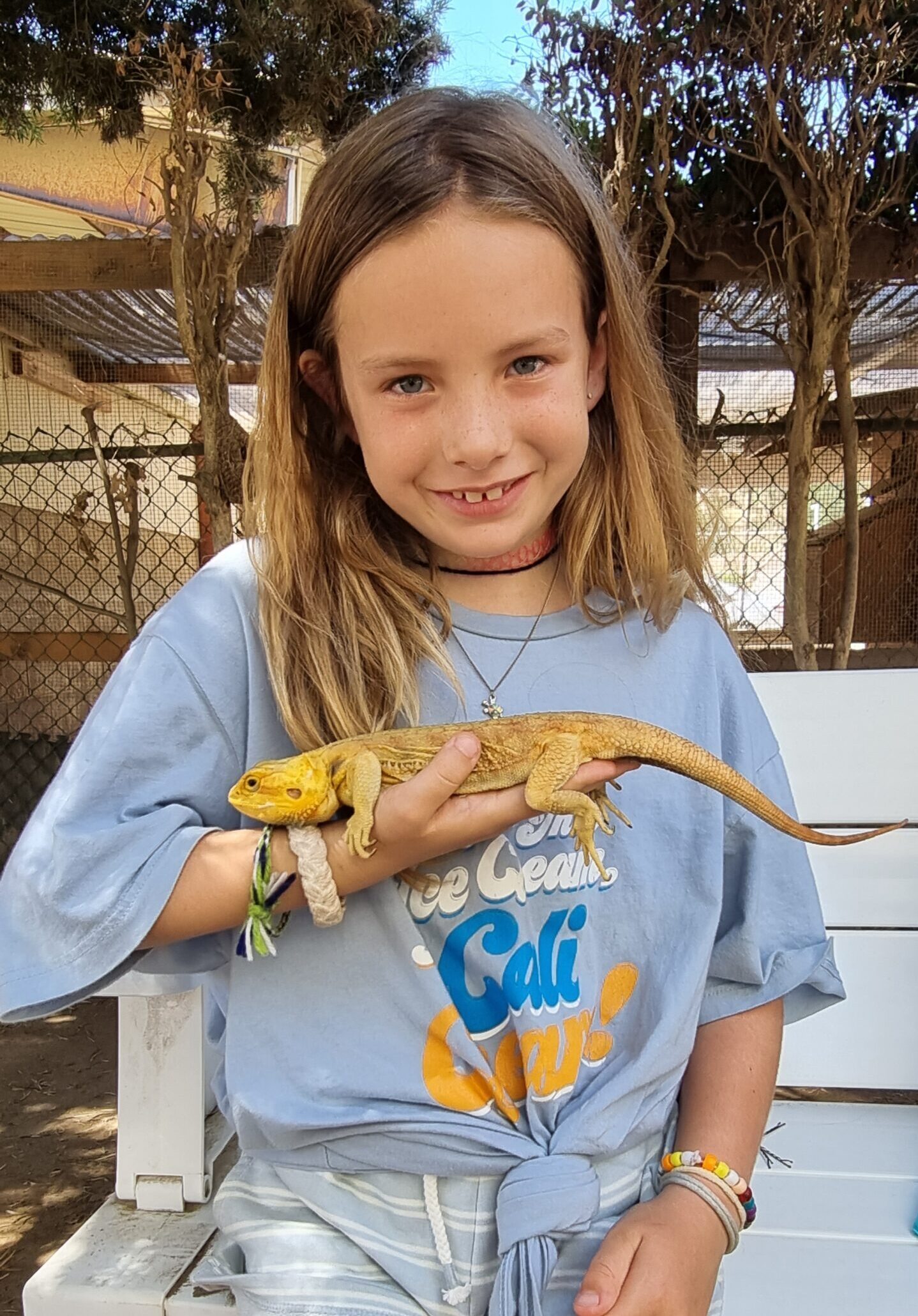 Thanksgiving Break Critter Camp