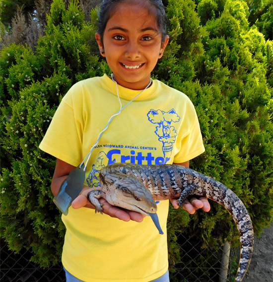 Summer Critter Camp