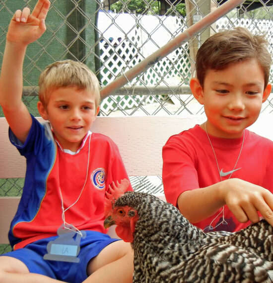 Summer Critter Camp