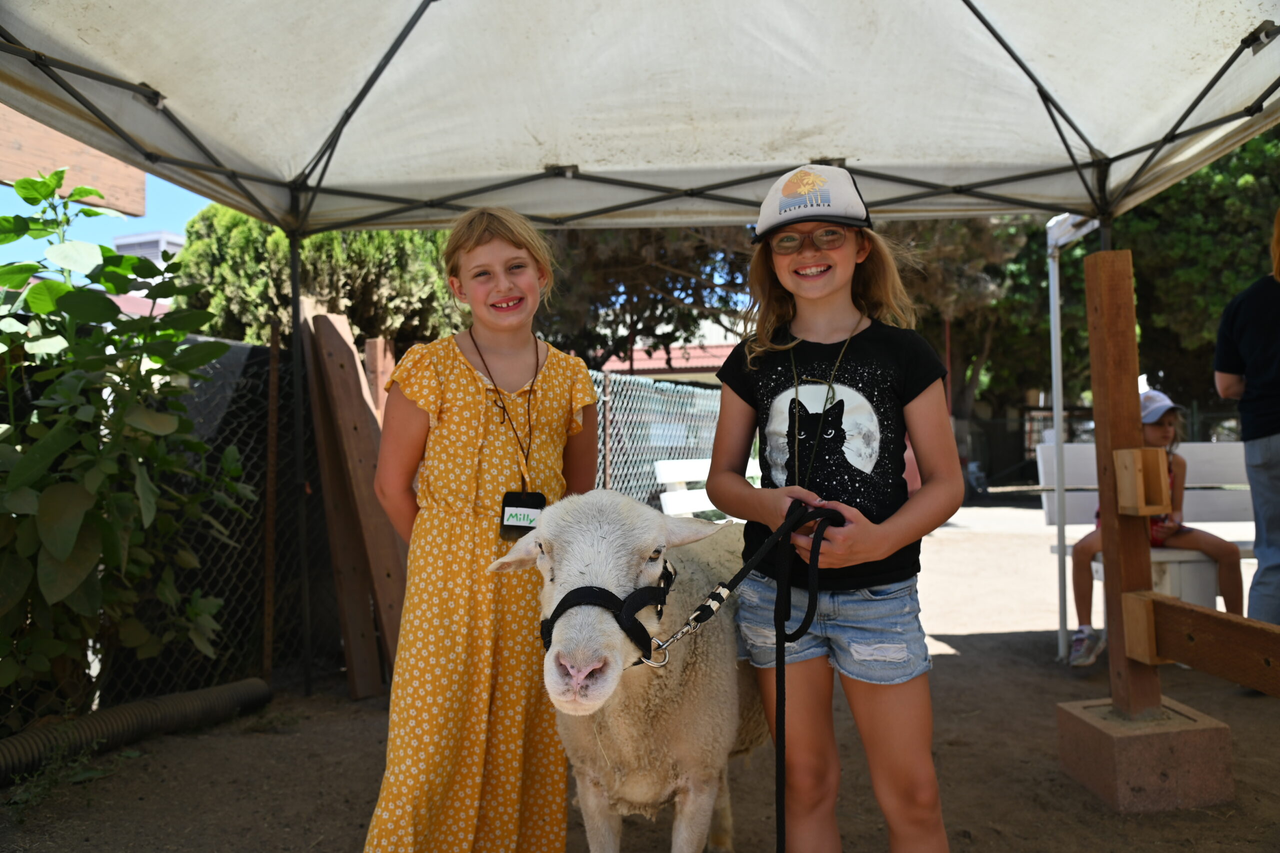 Summer Critter Camp