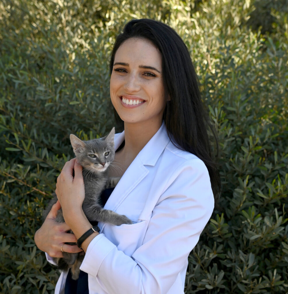 image of Dr Dowell