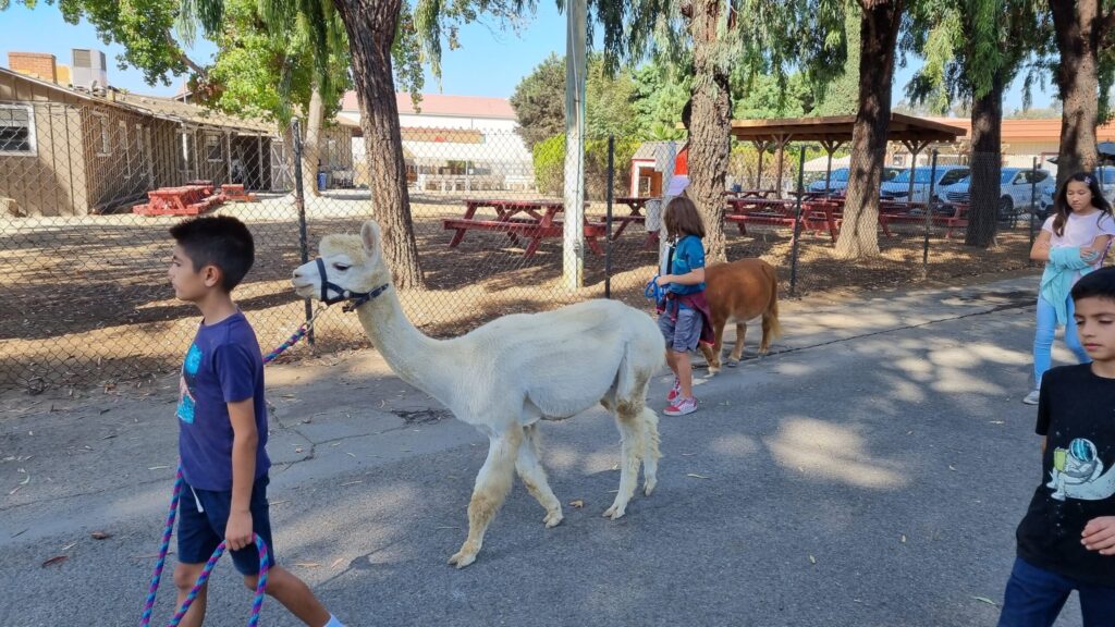 -Michelle M. “It's a great program and allows the kids to interact directly with the animals and to learn about animal care.”