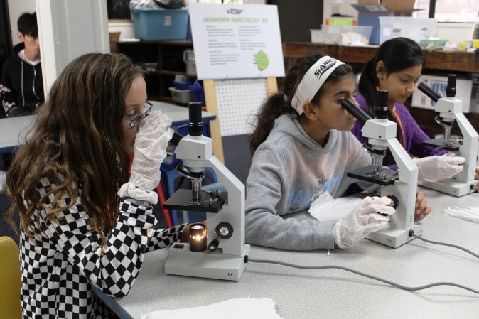 Girls looking through a microscope