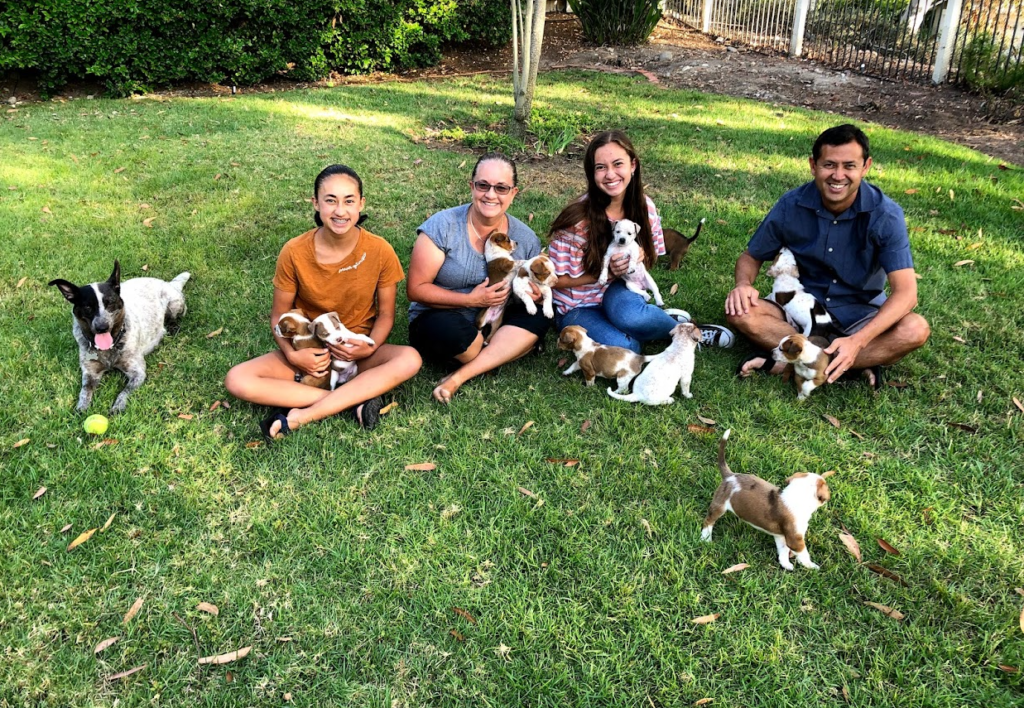 Dogs For Adoption Helen Woodward Animal Center