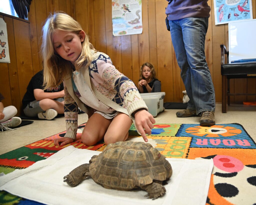 - Jennifer C. “My daughter absolutely loved this camp. She was thrilled with her experience. The kids were exposed to a broad number of animals, and learned a ton while having a blast. She even loved cleaning up horse manure, and is still talking about it. We are just sorry we didn't sign up for more sessions this summer, but now we know to do so next year!”