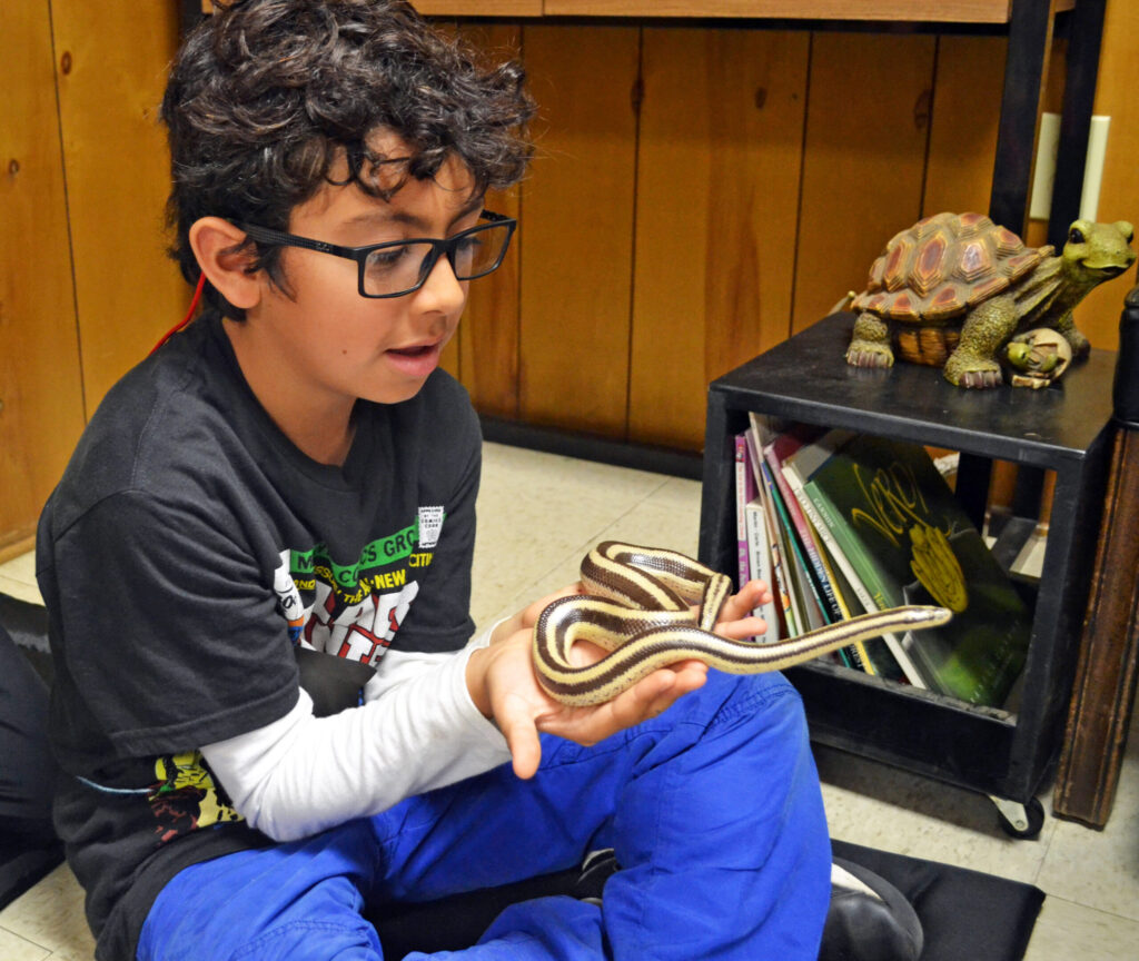-Melissa R. “My son had a really fun time and is already asking when does he get to go back to "animal camp.”