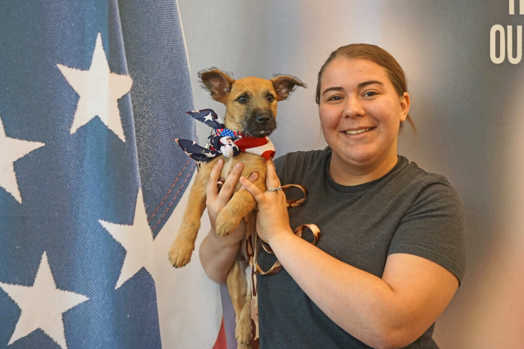 Patriotic pup