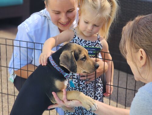 10.10.23 ServiceNow Girl and Puppy