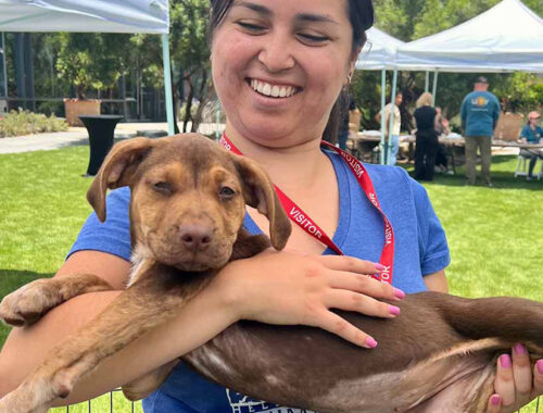 Alicia and Daphne1_edit_1200x628