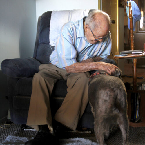 Mr. O'Daniels Petting and loving dog