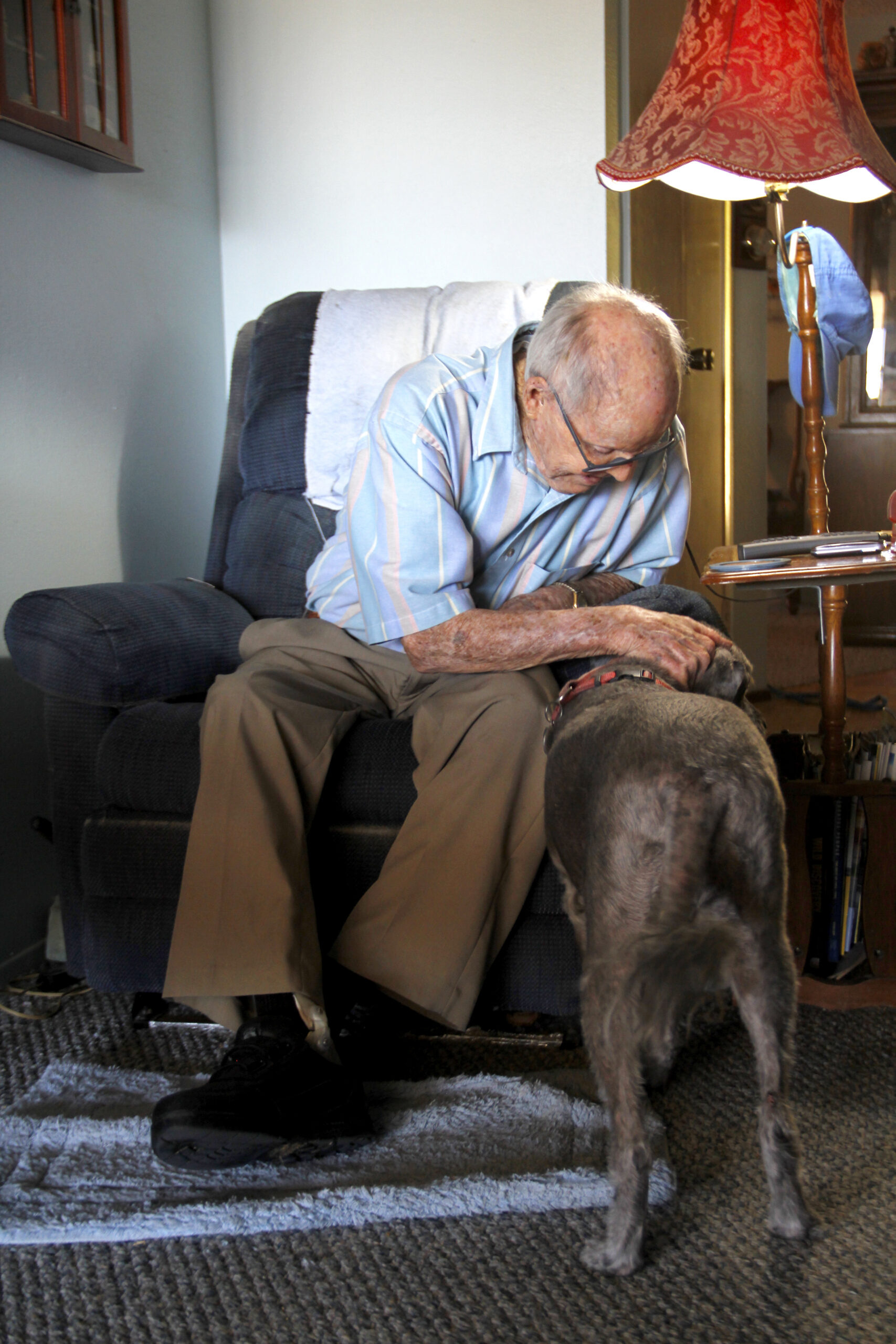 Mr. O'Daniels Petting and loving dog