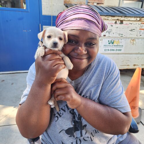 A woman holding a puppy and smiling at the camera