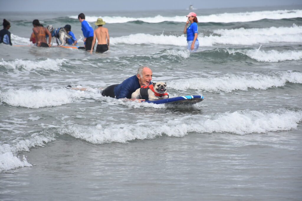 Photo of a man and his small white dog surfing.