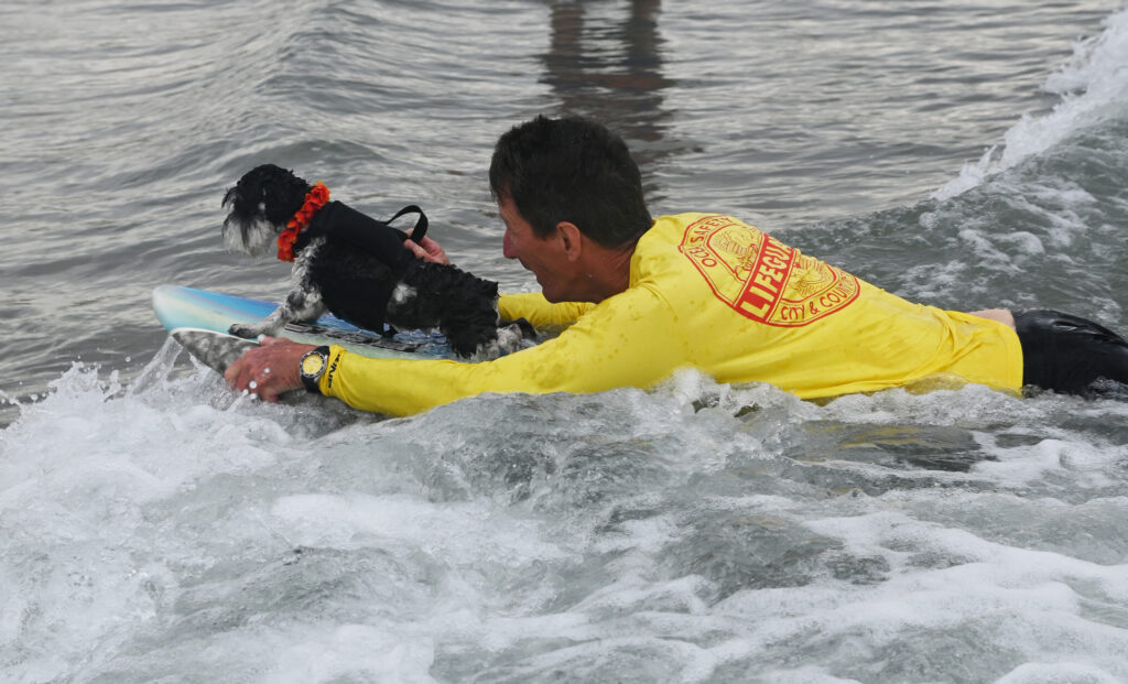 Man with yellow shirt surfing with dog.